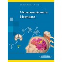 Neuroanatomía humana