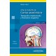Atlas de Bolsillo de Cortes Anatómicos Tomo 1. Tomografía computarizada y resonancia magnética: cabeza y cuello