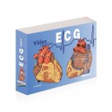 Vélez ECG Handbook 4ª Edición
