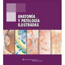 Anatomía y patología ilustradas 