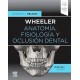 Wheeler. Anatomía, Fisiología y Oclusión Dental 10ª edición