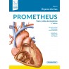 Prometheus. Texto y Atlas de Anatomía Tomo 2. Órganos Internos