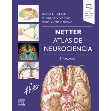 NETTER. Atlas de neurociencia 4ª edición