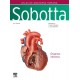 Sobotta. Atlas de anatomía humana. Vol 2Sobotta. Atlas de anatomía humana. Vol 2 - 25ª edición